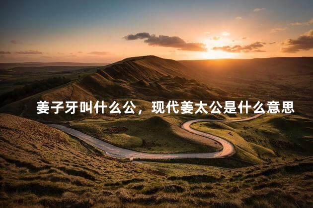 姜子牙叫什么公，现代姜太公是什么意思  